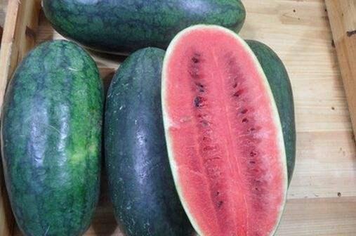 黑网吃瓜料网是啥,网络暗流涌动的秘密世界