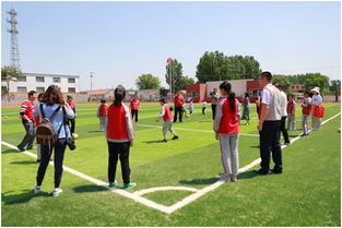 潍坊学院体育网红吃瓜,揭秘校园美食风云