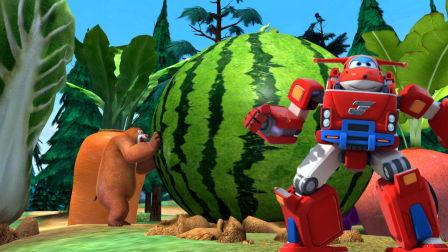 黄金熊吃瓜官网入口,揭秘娱乐圈幕后真相，带你畅游八卦海洋