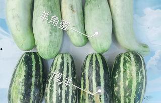 各种网红爆料在线吃瓜,在线吃瓜，揭秘娱乐圈幕后风云