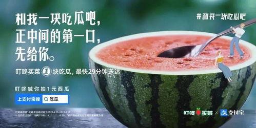 网红的吃瓜视频文案,揭秘娱乐圈幕后真相