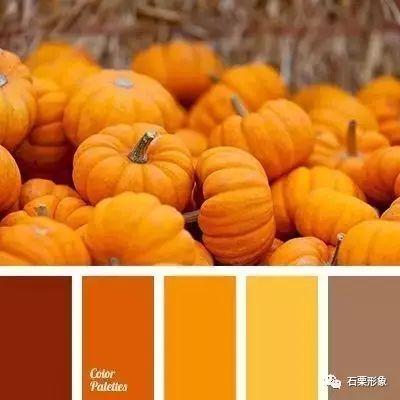 网红吃瓜颜色分类图片,缤纷色彩背后的秘密解析